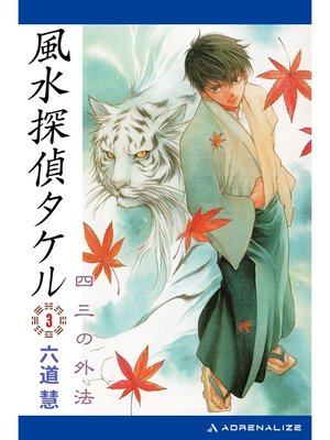 cover image of 風水探偵タケル（３）　四三の外法
